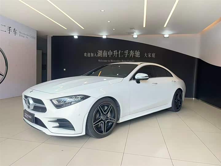 Mercedes-Benz CLS 2021 CLS 300 luxury model