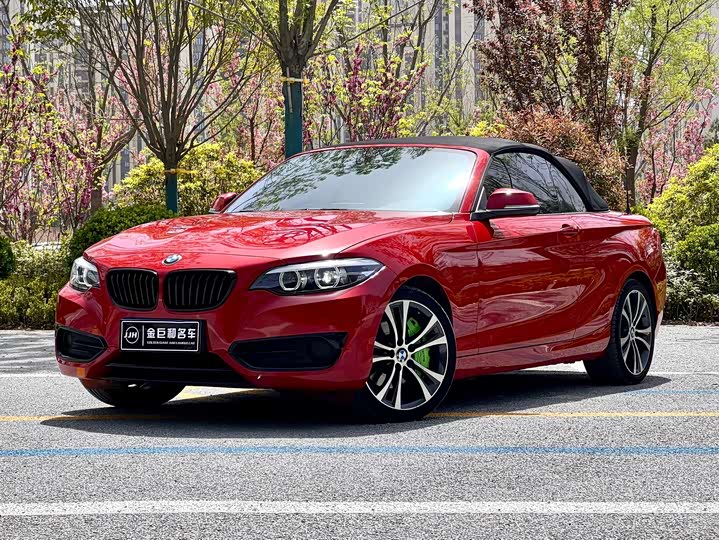 2021 BMW 2 Series (Imported) 2019 225i Convertible Coupe Sports Design Package