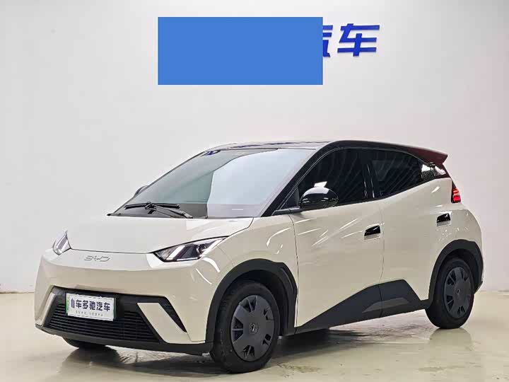 2025 Seagull 2024 Honor Edition 305km Vitality Edition