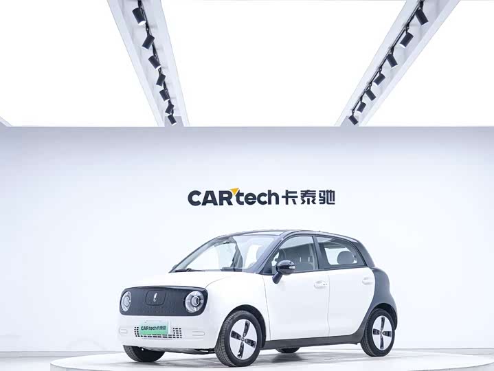 Euler Black Cat 2022 301km Sprouting Lithium Iron Phosphate