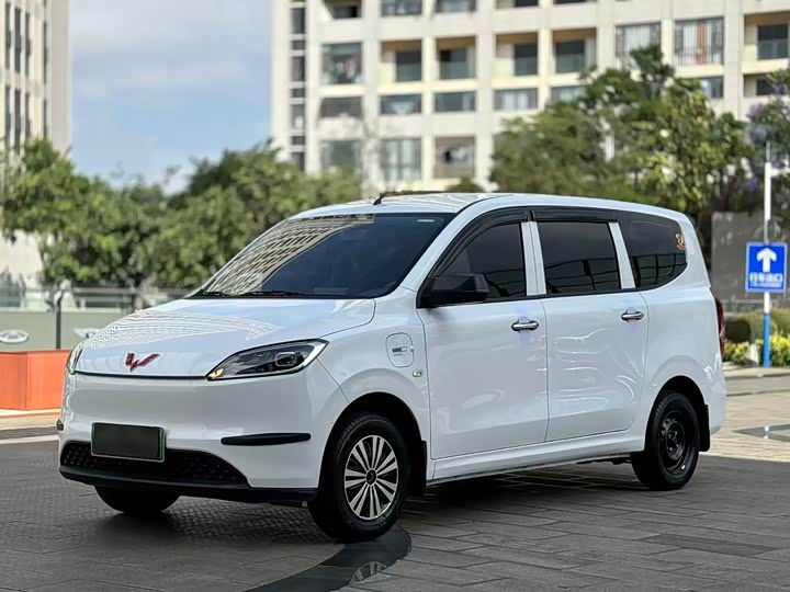 2025 Wuling Hongguang New Energy 2024 Pure Electric Version 300KM Standard Type