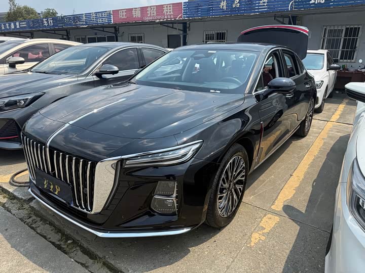 Hongqi H5 2023 2.0T Automatic Zhilianqichang Edition