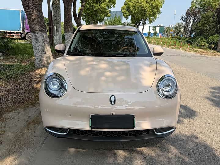 Euler Good Cat 2024 401km Comfort Model
