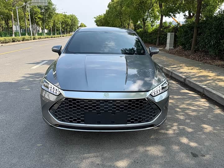 Qin PLUS 2024 Honor Edition DM-i 55KM Leading Type