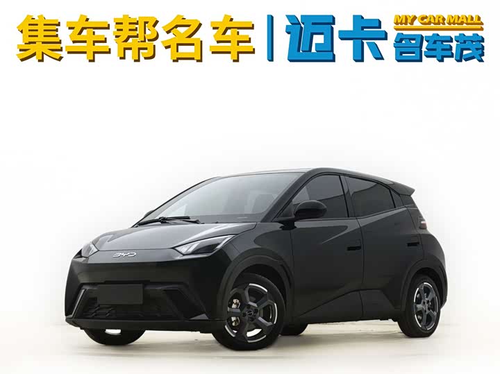 2024 Seagull 2024 Honor Edition 305km Free Edition