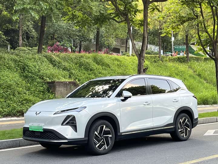 2024 Wuling Starlight S 2024 510km pilot model