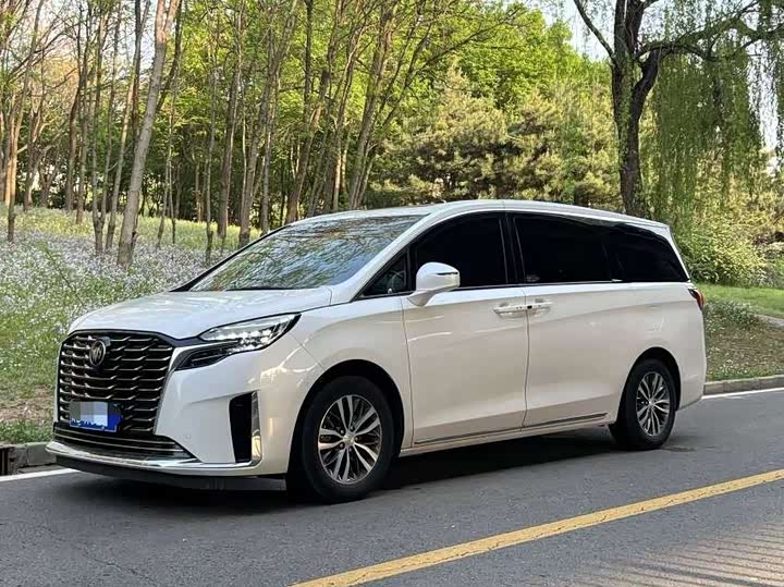 2023 Buick GL8 2023 ES Lu Zun Exclusive Model