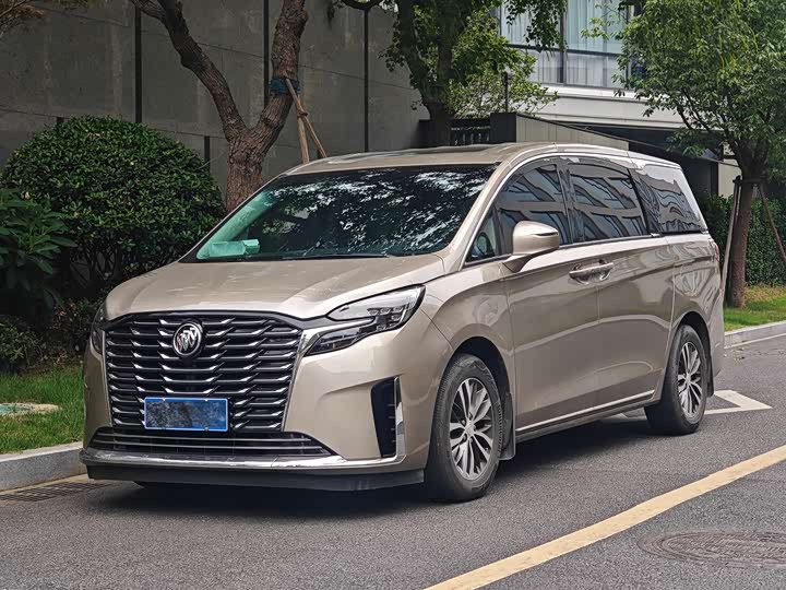2024 Buick GL8 2023 ES Lu Zun Comfort Type