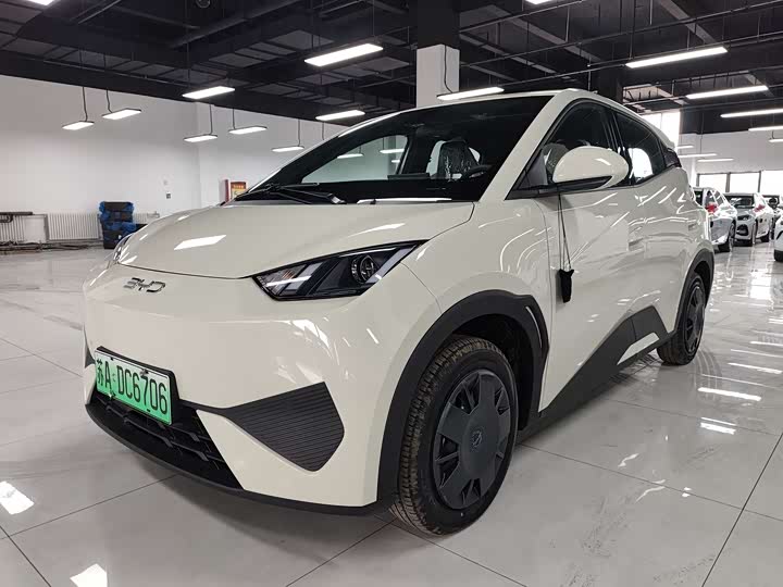 2026 Seagull 2025 305km active version