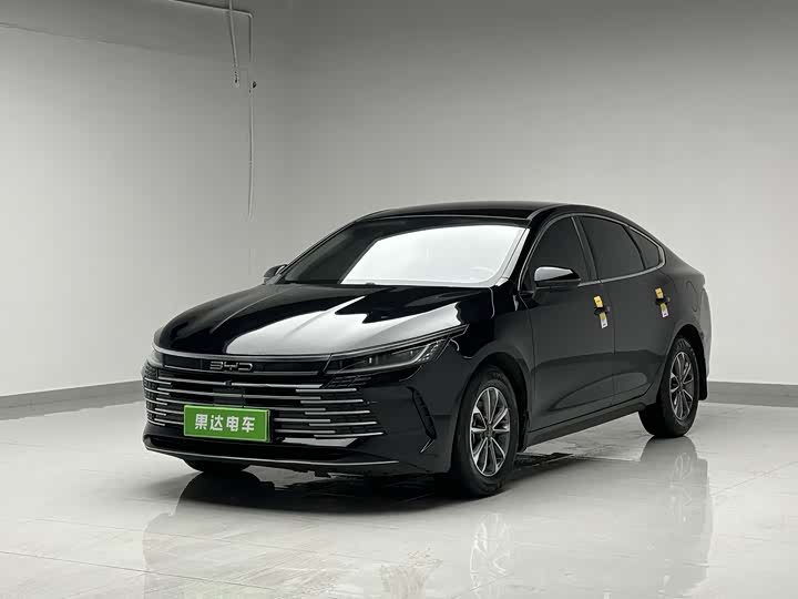 2024 Destroyer 05 2024 Honor Edition DM-i 55KM Luxury Type