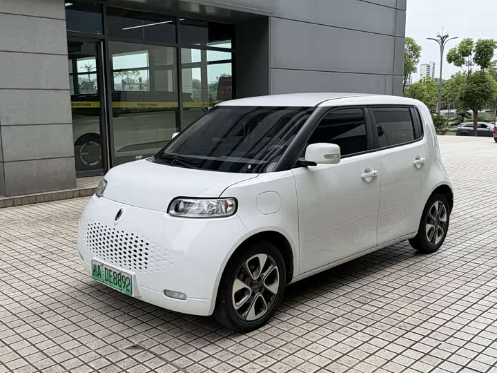2021 Euler White Cat 2020 305km luxury model