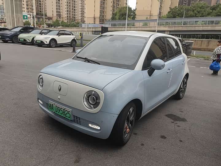 Euler Black Cat 2022 model 351km comfort type ternary lithium