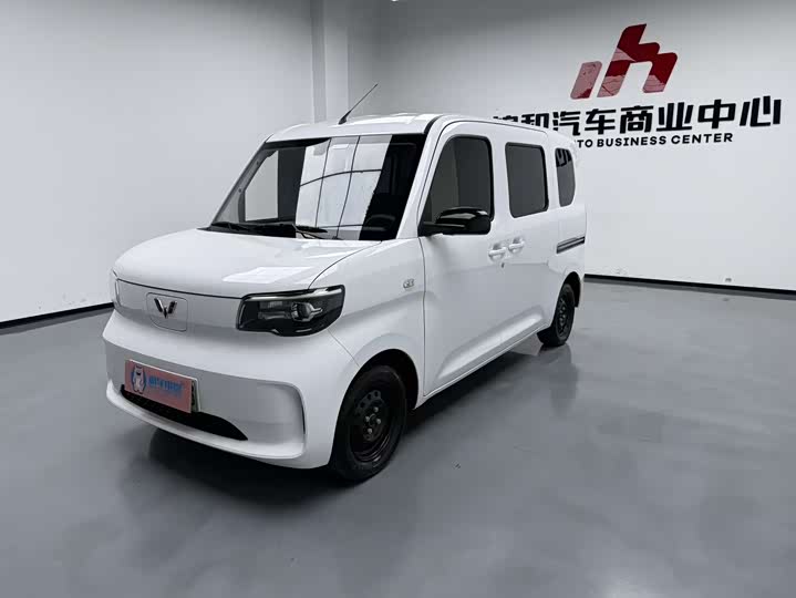 2025 Wuling Zhiguang EV 2025 201km Standard Edition