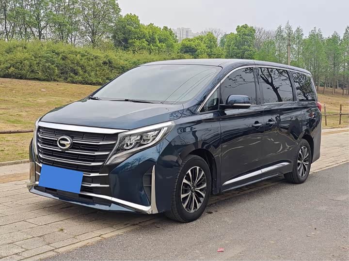 2021 Trumpchi M8 2021 Lead Show Series 390T Exclusive Edition