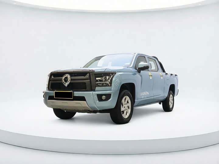 2024 GWM Poer King Kong 2024 2.0T Diesel 8AT 2WD Pilot Flatbed