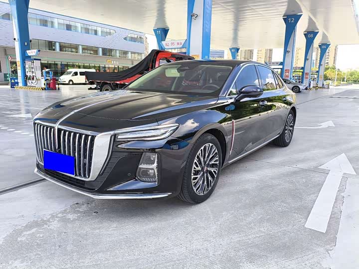 Hongqi H5 2024 2.0T Automatic Zhilianqichang Edition