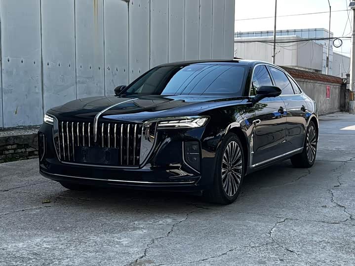 Hongqi H9 2024 2.0T Qixiang Luxury Business Edition