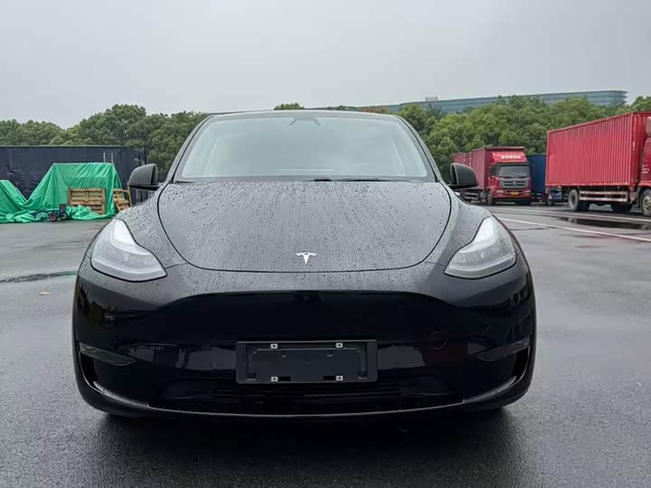 2021 Model Y 2021 standard range rear-wheel drive version