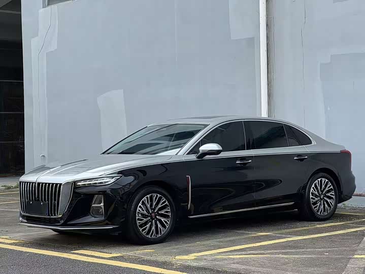Hongqi H5 2024 2.0T Automatic Zhilianqichang Edition