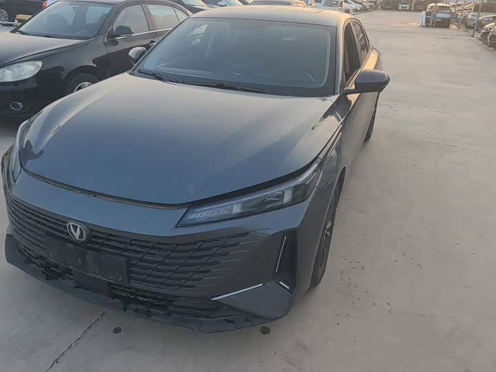 Yida 2023 Blue Whale NE 1.5T GDI DCT Exclusive Type
