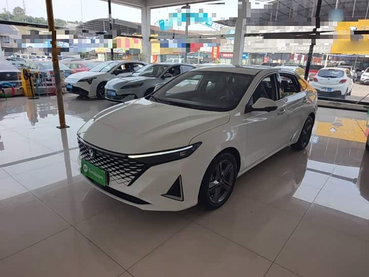 Ruicheng PLUS 2023 1.5T DCT premium model