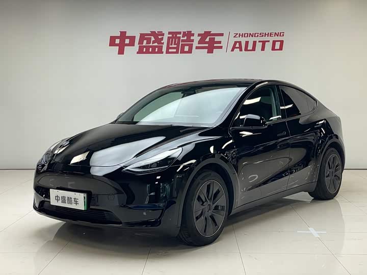 Model Y 2021 standard range rear-wheel drive version