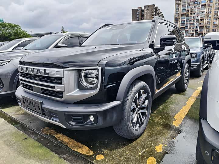 Havaldog 2024 1.5T DCT Labrador Edition