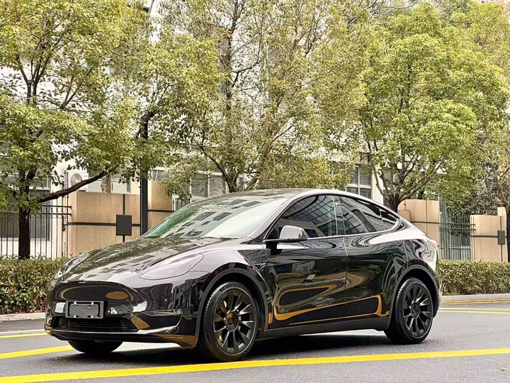 2021 Model Y 2021 standard range rear-wheel drive version