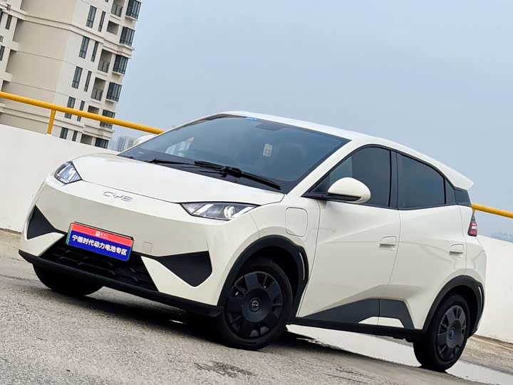 2025 Seagull 2025 Smart Driving Edition 305km Vitality Edition