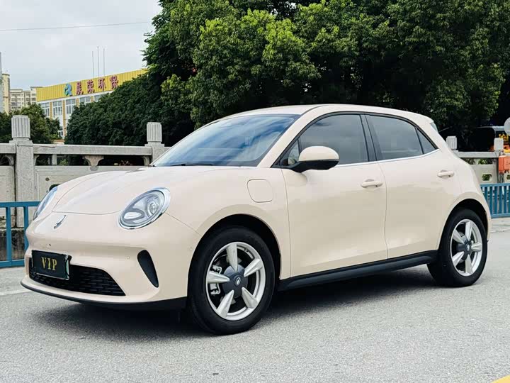 Euler Good Cat 2025 430km Honor Model