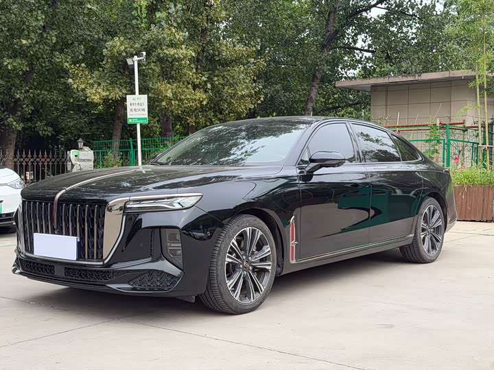 Hongqi H9 2024 2.0T Qichang Private Fashion Edition