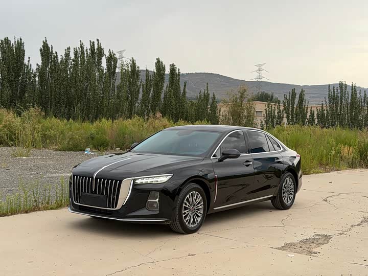 Hongqi H5 2025 1.5T DCT Flag Rhyme Edition