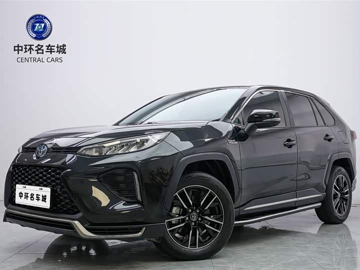 Wilanda New Energy 2021 High-Performance Version 2.5L Two-wheel Drive Powerful Version