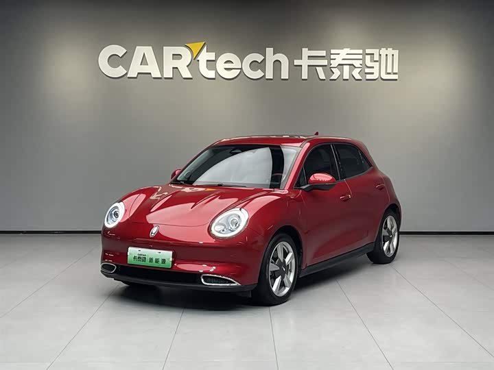 2021 Euler Good Cat 2021 Model 400km Standard Range Athena Edition Lithium Iron Phosphate