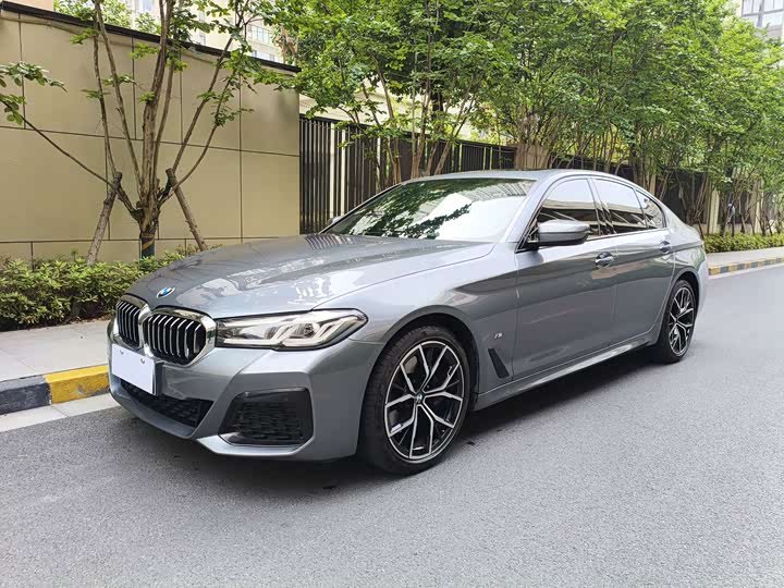 BMW 5 Series (imported) 2022 facelift 530i M sports package