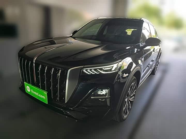 Hongqi HS5 2025 2.0T four-wheel drive Qixiang Pro version