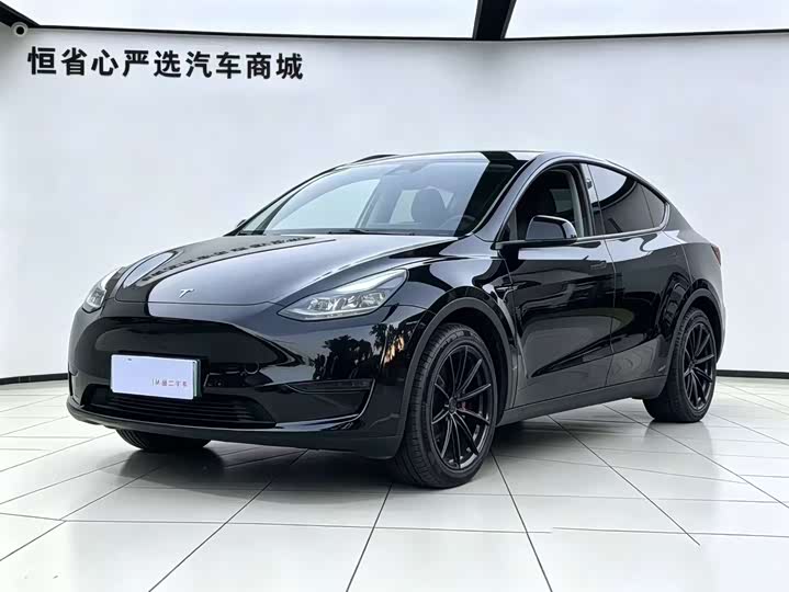 2022 Model Y 2021 standard range rear-wheel drive version