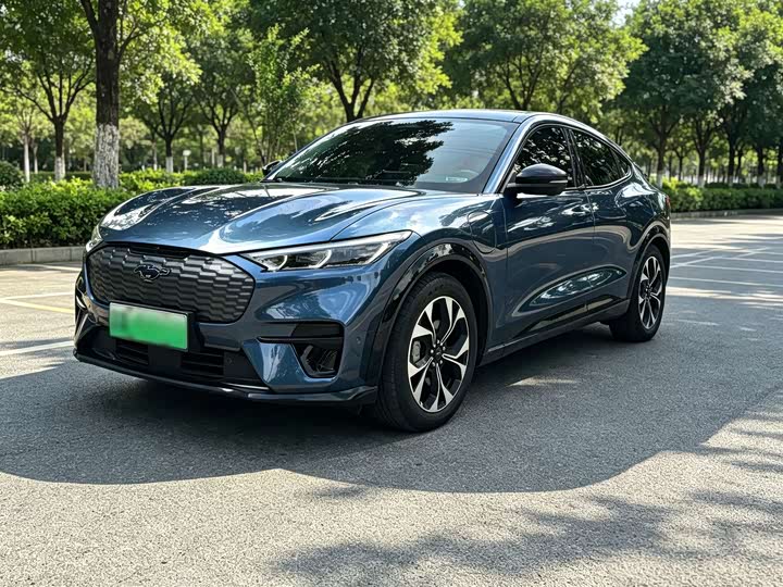 Ford Electric Horse 2021 Borderless Rear-Drive Deluxe Edition (Long Range)