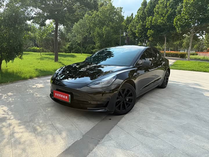 Model 3 2021 Standard Range Rear Drive Upgraded Version