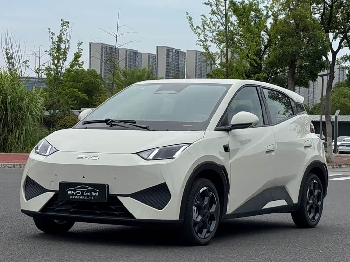 2025 Seagull 2025 smart driving version 405km flying version