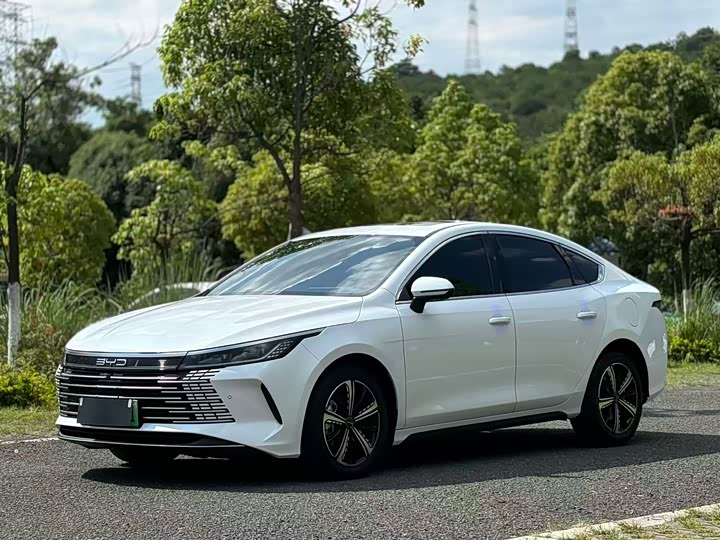 2023 Destroyer 05 2023 Champion Edition DM-i 55KM Premium Type