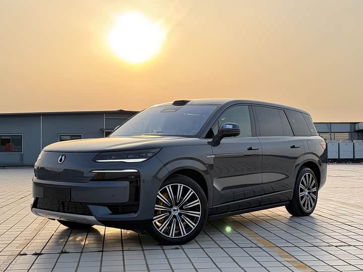 2025 Denza N9 2025 Honor Type