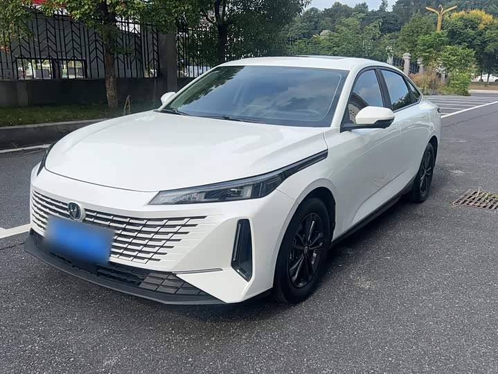 Yida 2023 Blue Whale NE 1.5T GDI DCT Exclusive Type