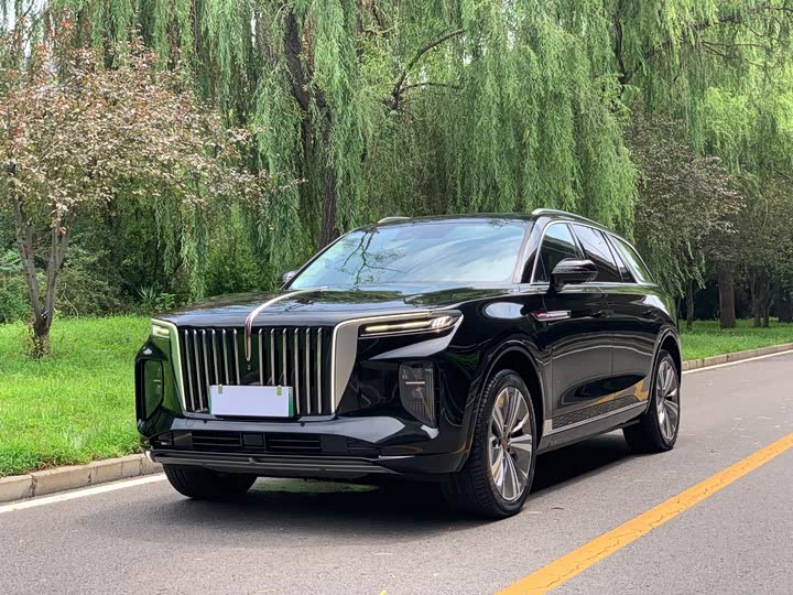 Hongqi E-HS9 2021 model 460km flagship version six seats