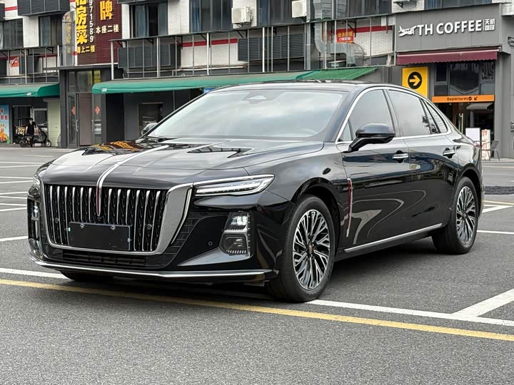 Hongqi H5 2024 2.0T Automatic Zhilianqichang Edition