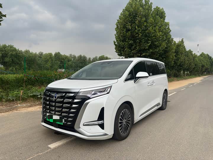Denza D9 2022 DM-i 970 four-wheel drive premium model