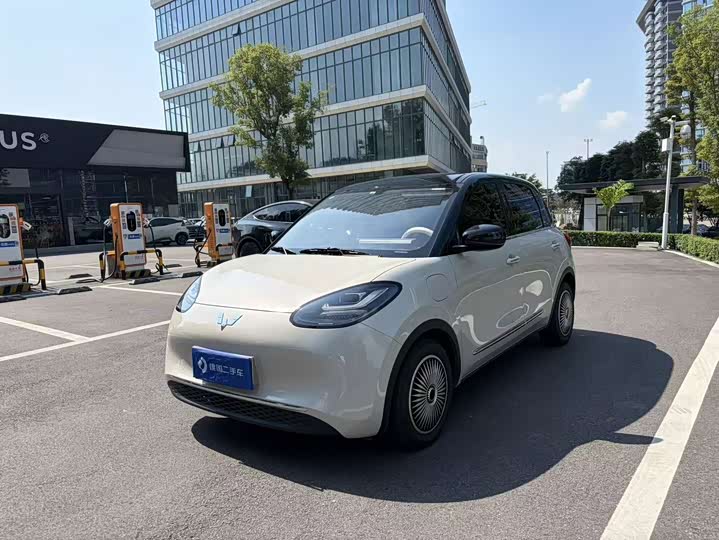 Wuling Bingo 2024 model 333km Yuexiang model