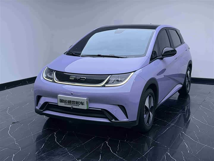 2023 BYD Dolphin 2023 420km Fashion Edition