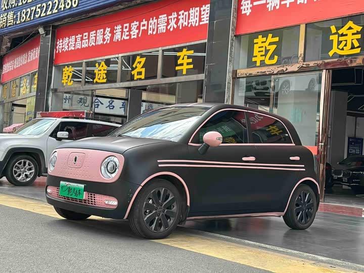 Euler Black Cat 2021 405km long range model