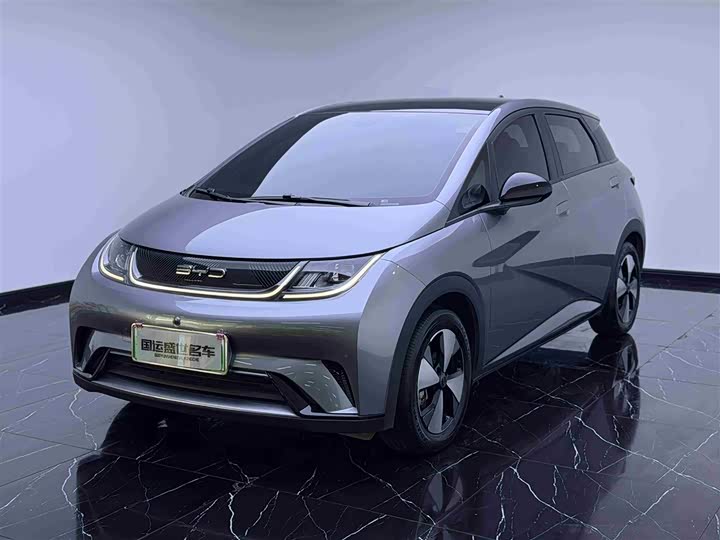 2023 BYD Dolphin 2023 420km Fashion Edition